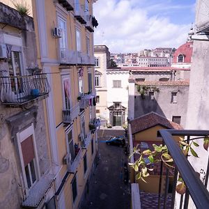 Estudio